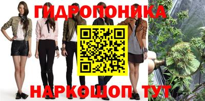 индика Балахна