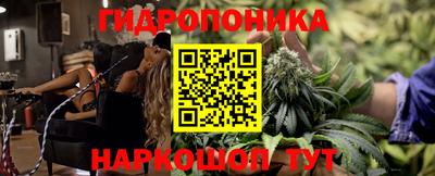 индика Балахна
