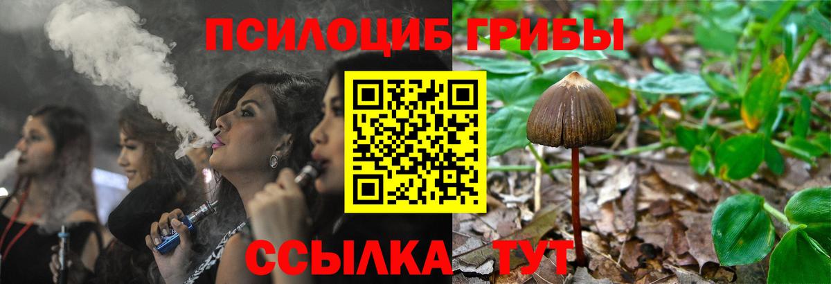 цена наркотик  Вход с VPN  Железногорск  Галлюциногенные грибы Magic Shrooms 